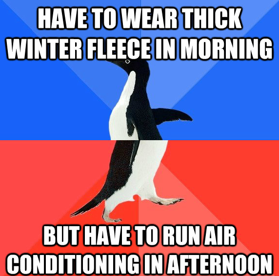 02E0B3F5-3EA6-4F35-A762-A053BA098C75.png