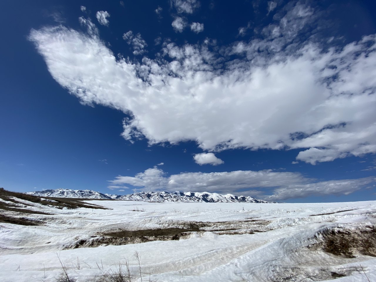 049AB48F-3168-4DBF-AEA7-EA6130C29C43.jpeg
