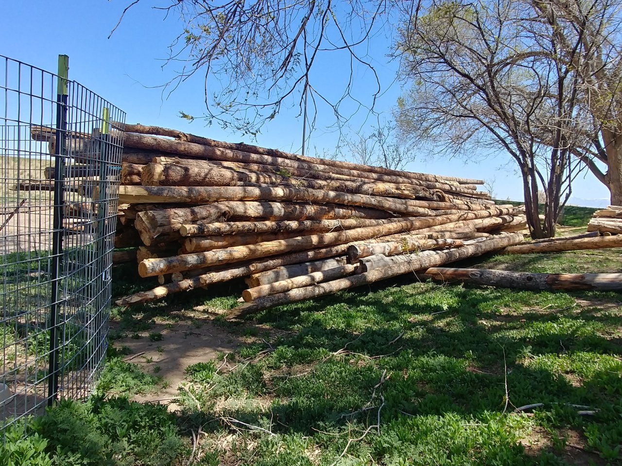 0506211330_HDR.jpg