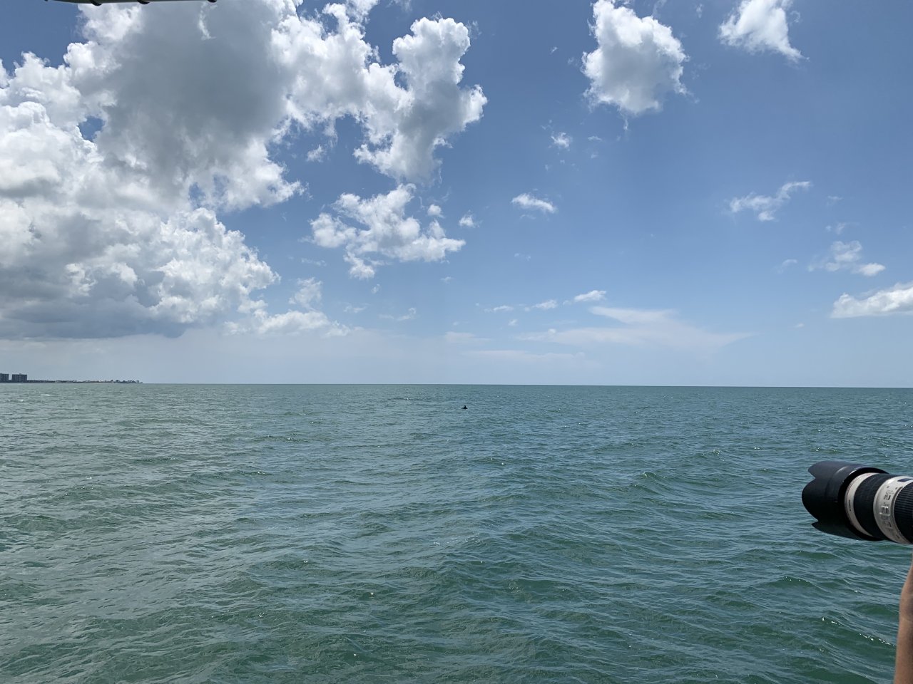 0507262A-969C-4EC1-85AA-57B5EC967773.jpeg