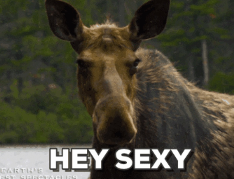0513BF6E-66B3-492E-984C-98EF893569D9.jpeg