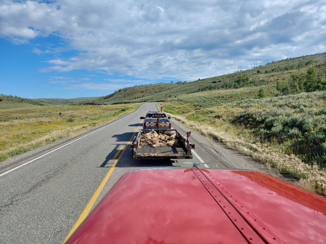 0806190929_HDR.jpg