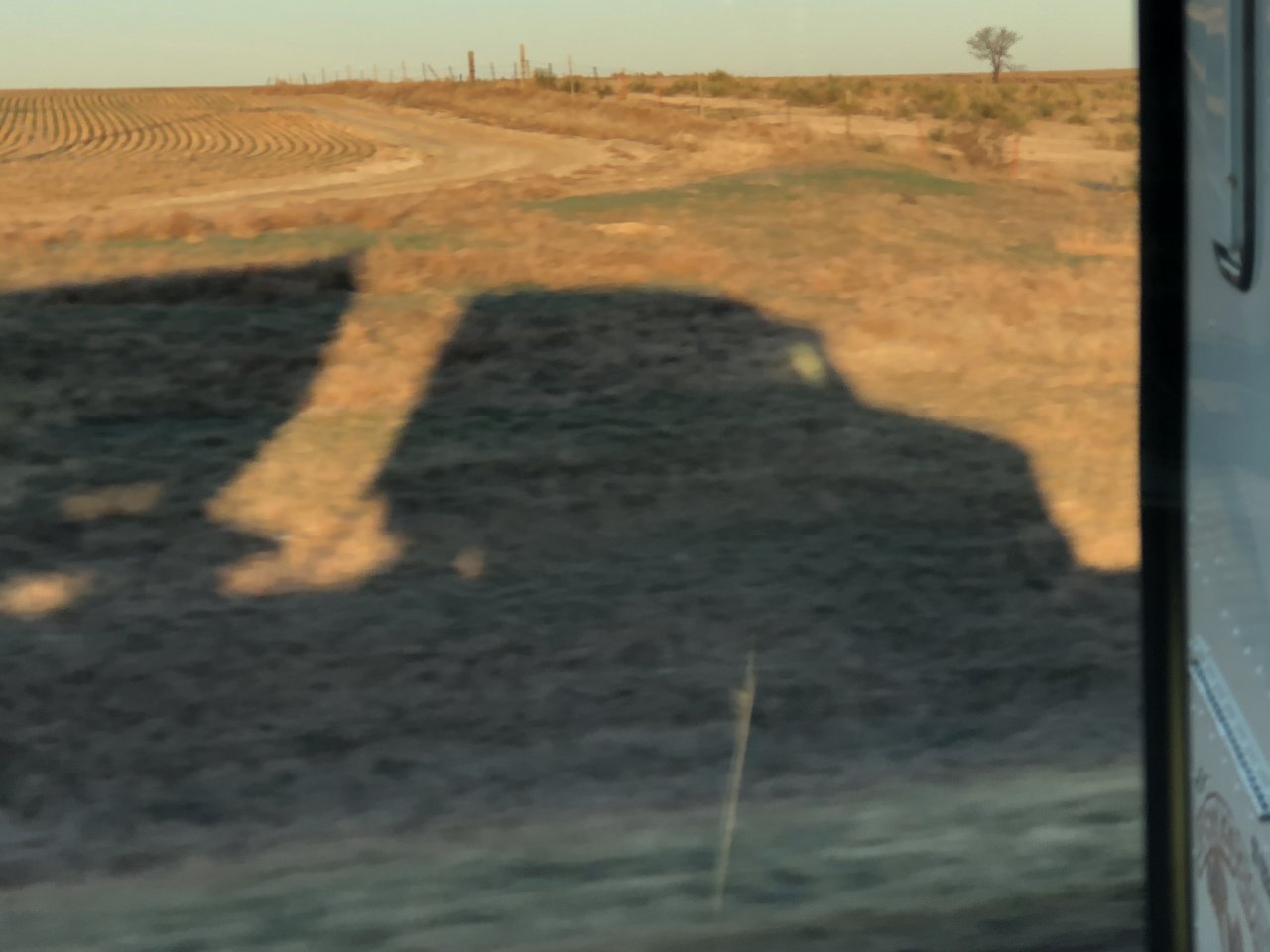 0811FEB1-516A-451D-AB6D-DC44FF029DAF.jpeg