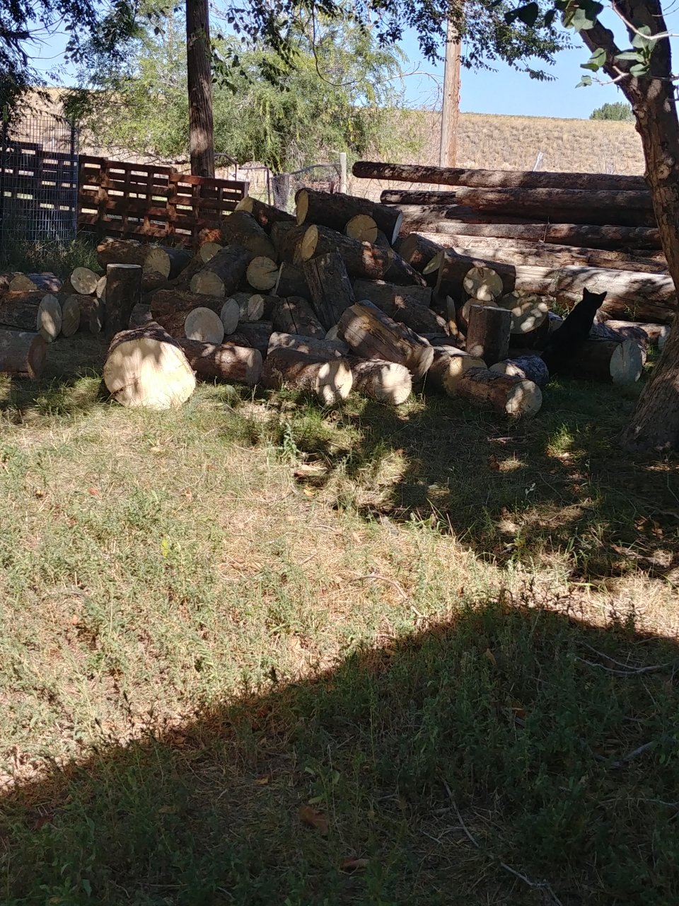 0924221140_HDR.jpg