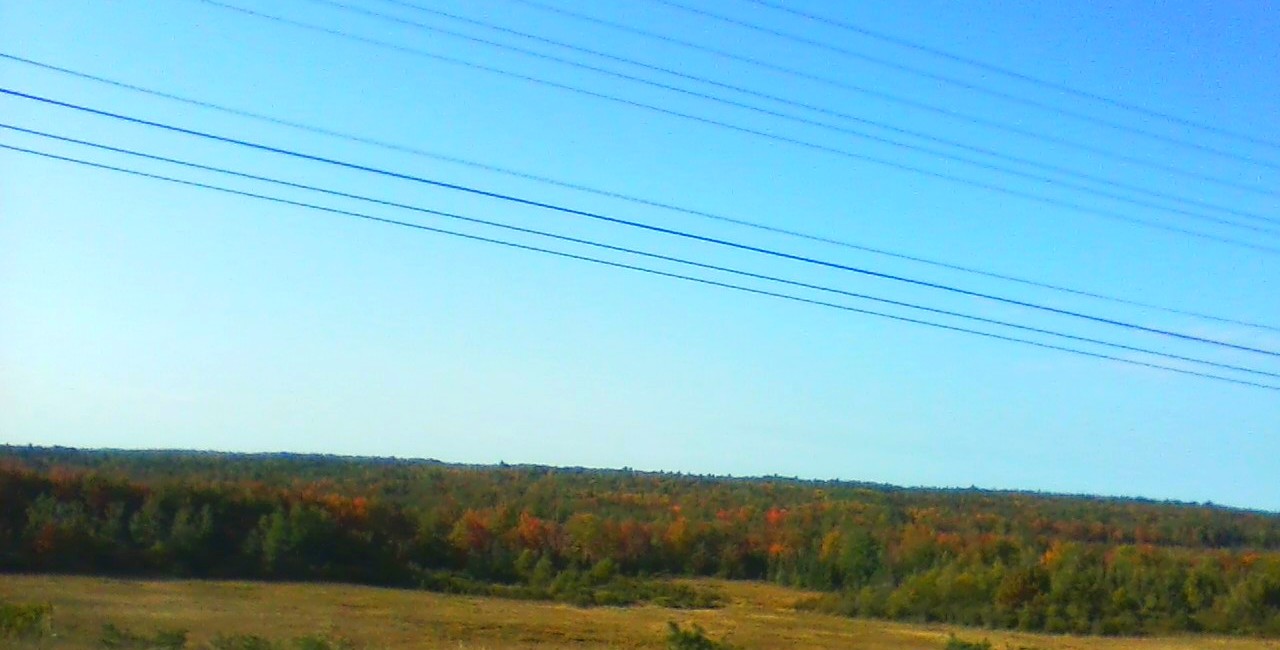0925200904.jpg