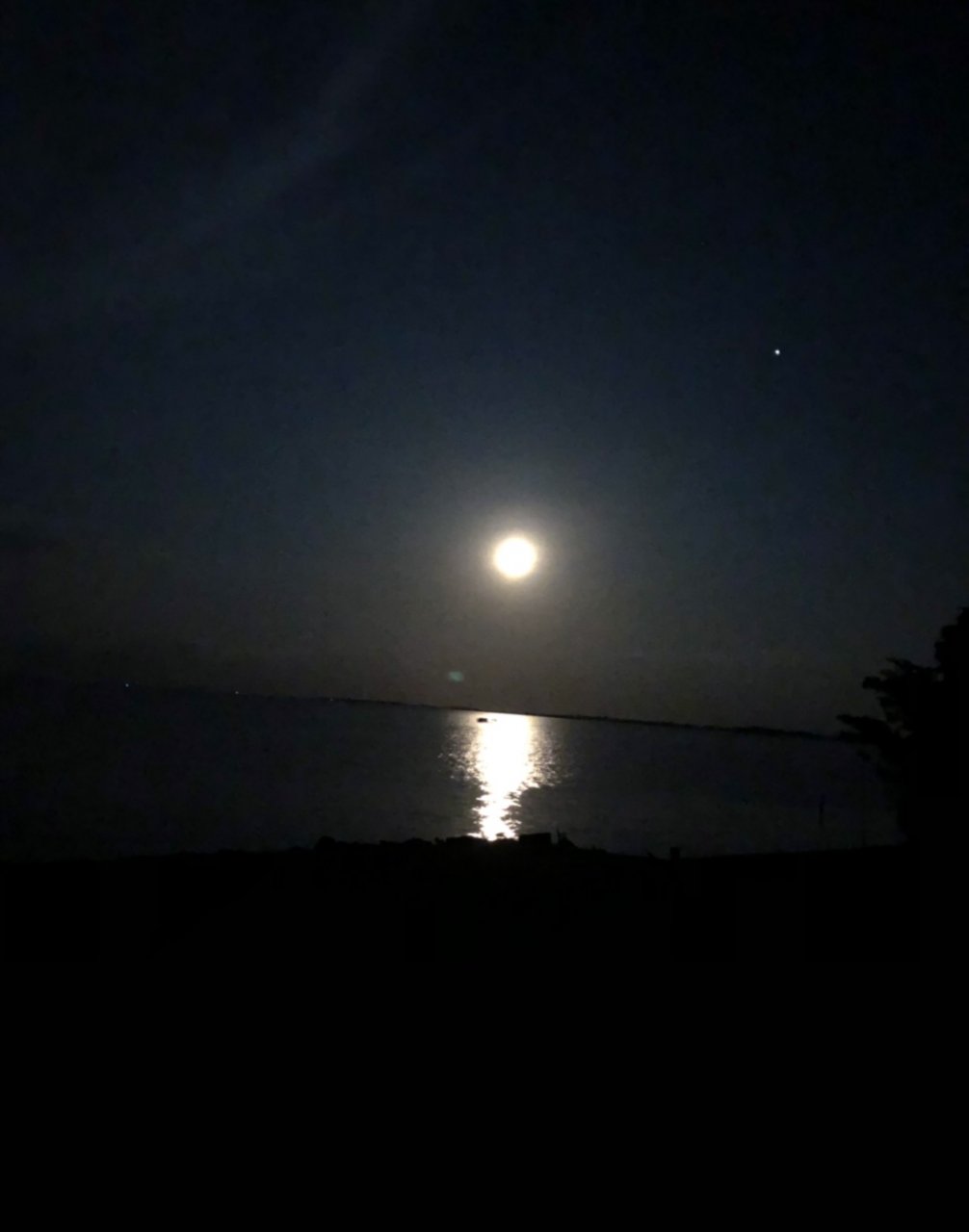 0B1E5D5B-803D-45A6-8DF0-E425A4BA446C.jpeg