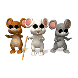 0D1F6BD5-5F29-4F8C-B1F5-4BB11E4AADDA.gif