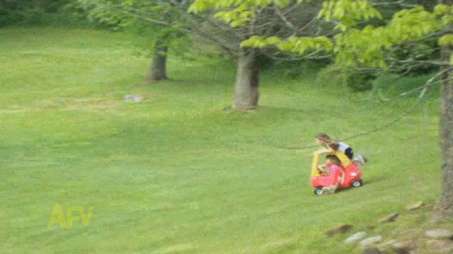 0d6f9226366e015a4184c112a8630ddd.gif
