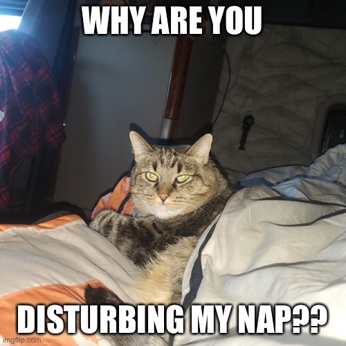 101DDAAD-0845-4F61-9F43-B2D48AC8FF81.jpeg