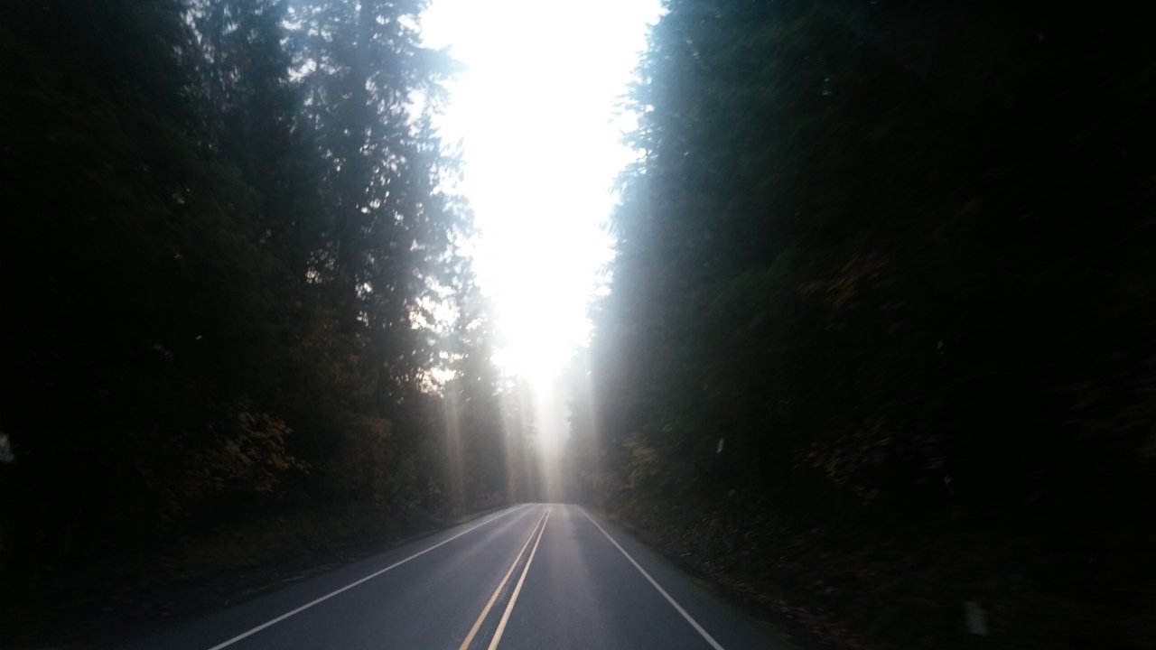 1021190811_HDR.jpg