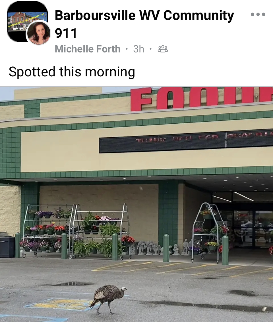 106194D4-3A24-4283-9085-50887CF9D191.jpeg