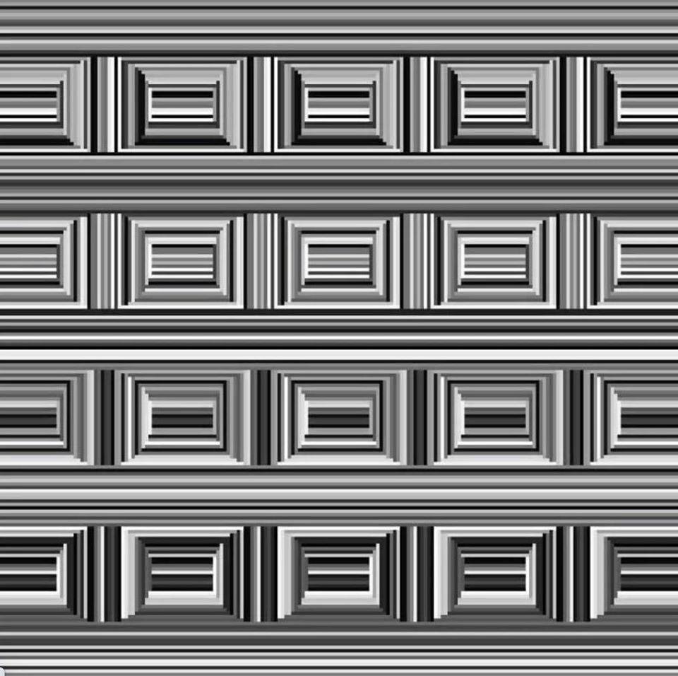 106594661_10151251615894982_8724138876331634454_o.jpg