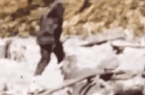 10jOyd7c2iGv1S (1).gif