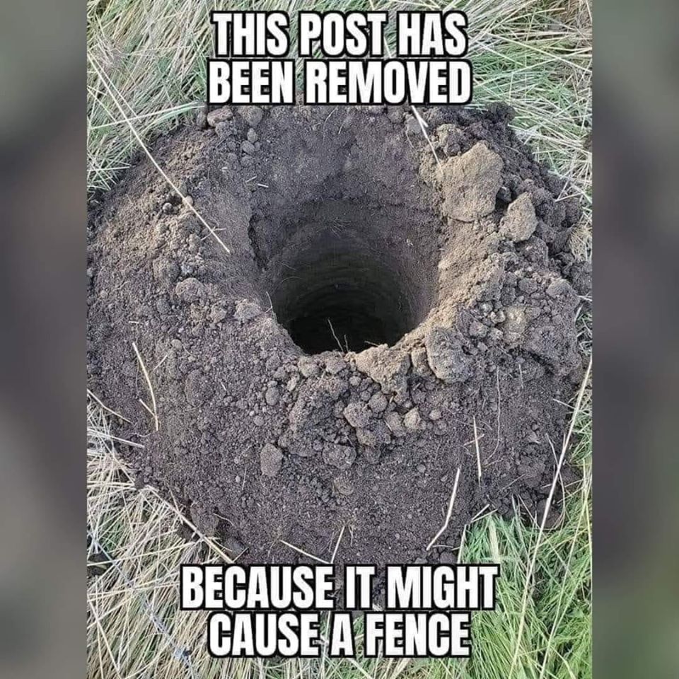 117648972_10222035148404455_7884202939978854361_o.jpg