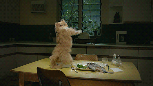11C0A9D9-FB11-459A-B637-8FD4CB483439.gif