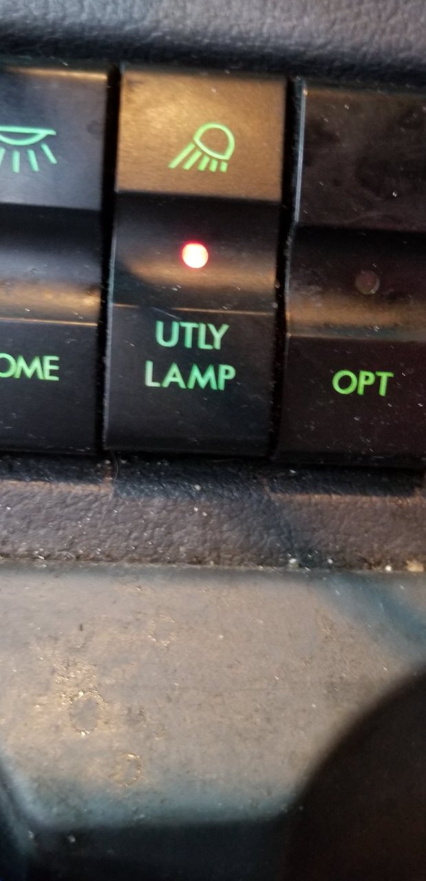 127755839_3412655752185685_7769020188479789232_o.jpg