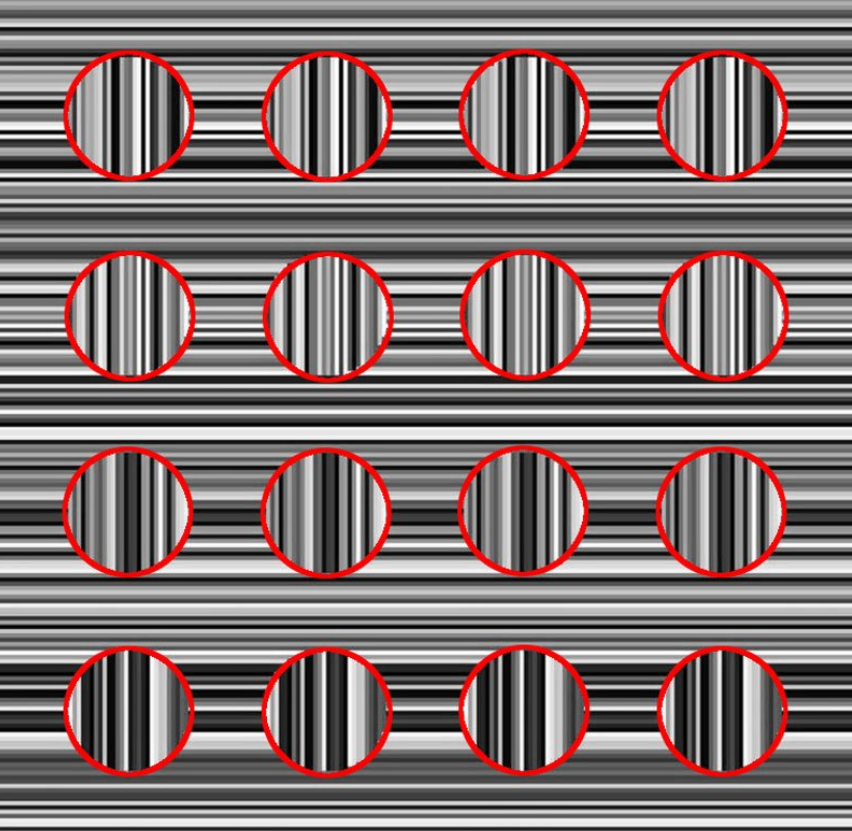 -16-circles-in-this-image-2 jpg (JPEG Image, 800 × 800 pixels) - Scaled (86%).png
