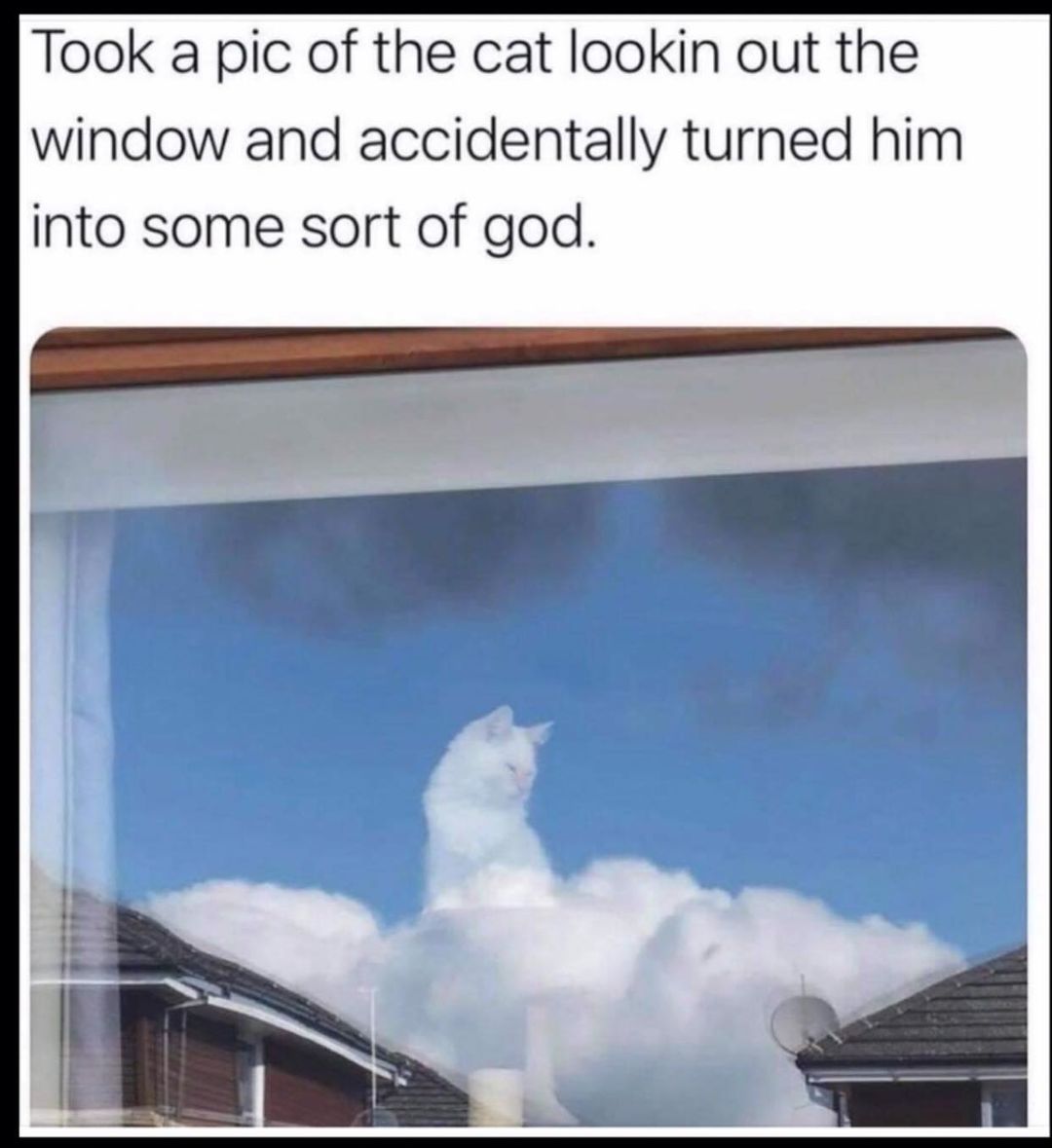 1657141857368.jpeg.jpg