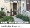 172752-2e0ce78bf1f3a55d5fb6f66ef6c1c54f.png