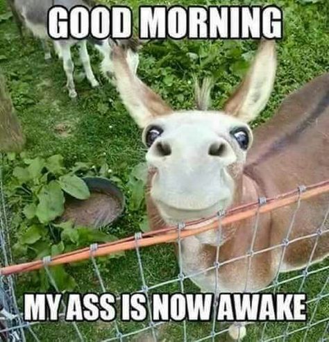 19d695004cd37c24f3c64b949f5e923d--crazy-humor-poetry-quotes.jpg