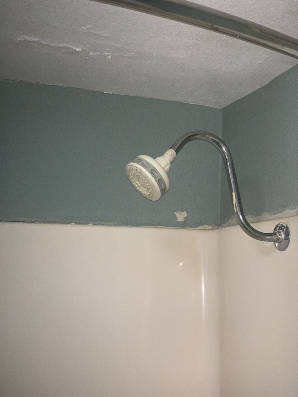 1AD28308-AAB1-4110-8734-0C6A08EE5CBE.jpeg