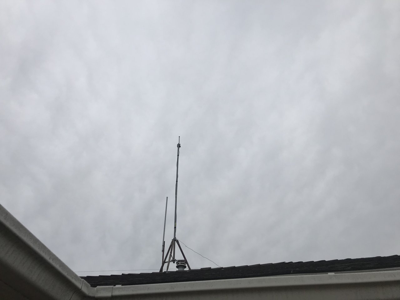 1EA25AFB-AA8D-481A-BCE3-EF826C6D8072.jpeg