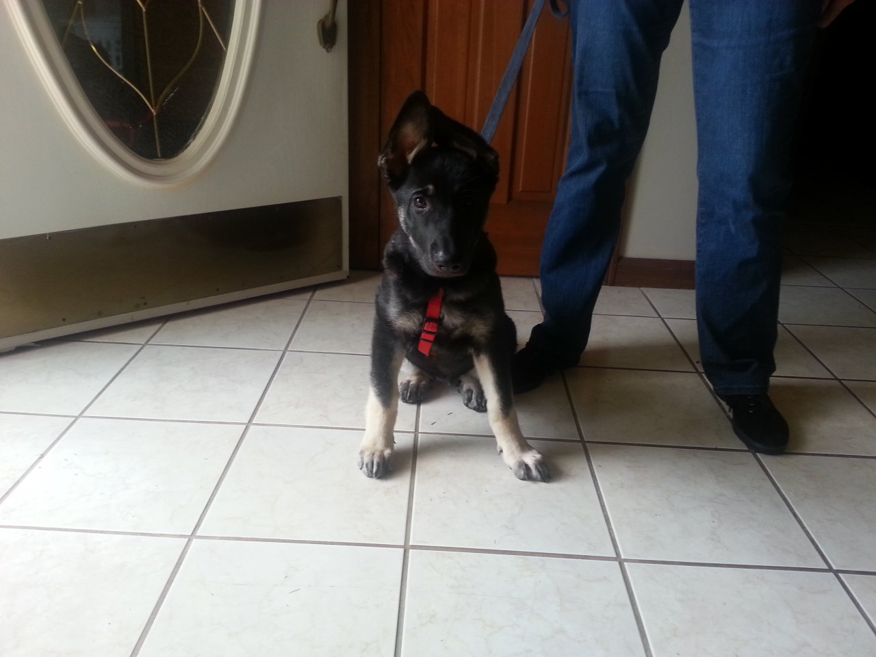 20130827_102150.jpg