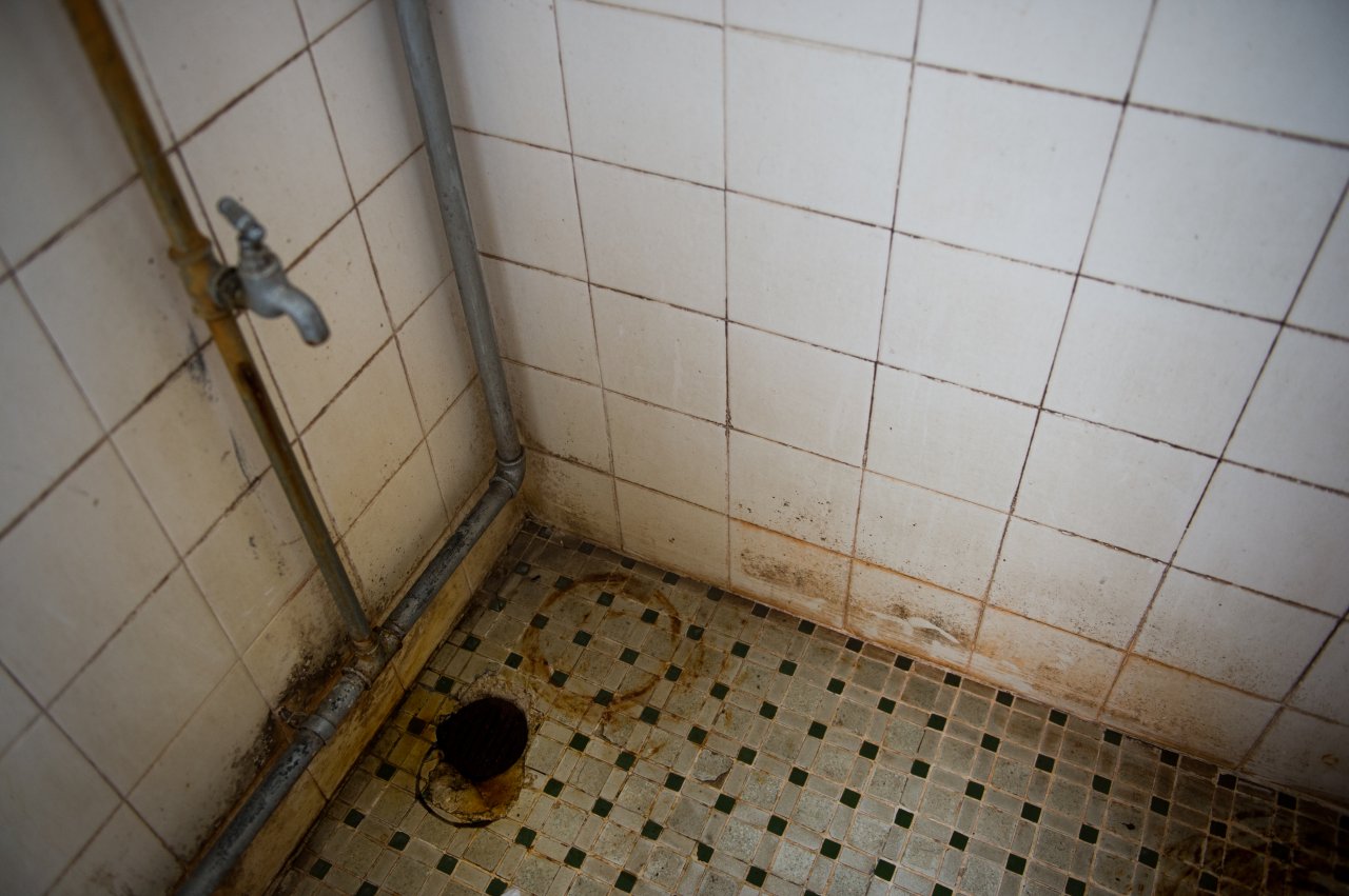 2015-11-10-1447174683-3614228-Shower_1.jpeg