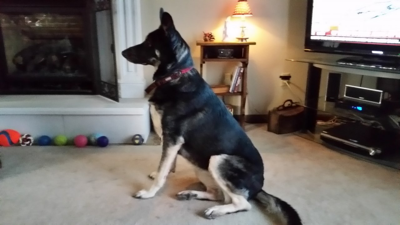 20150125_163629.jpg