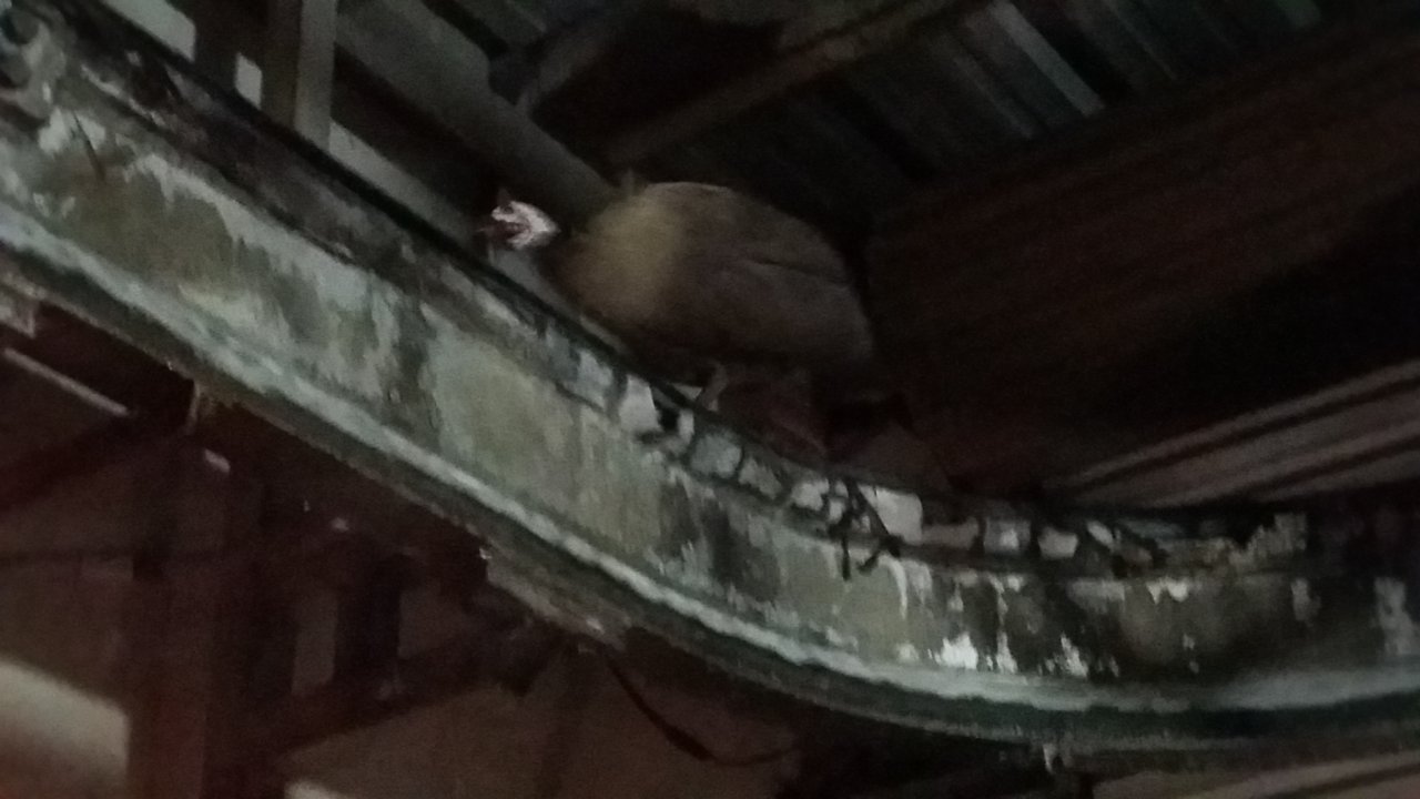 20150725_210300.jpg