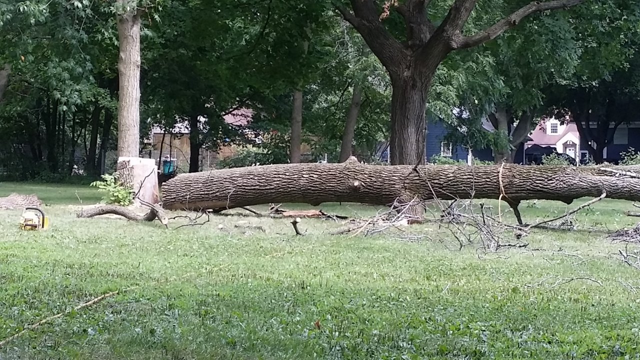 20150821_144409.jpg