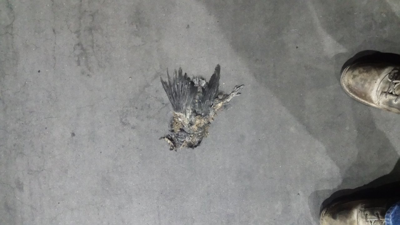 20160802_012600.jpg