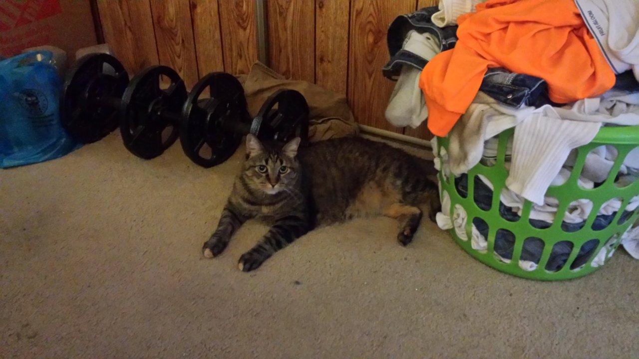 20160810_074101.jpg