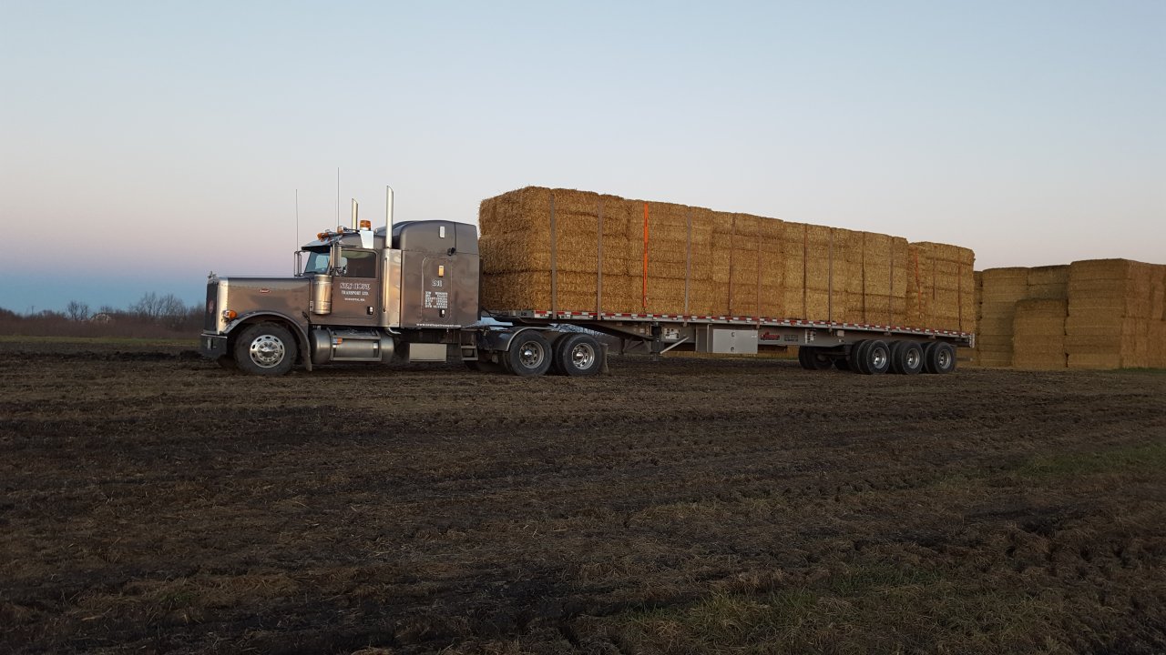 20161115_165145.jpg
