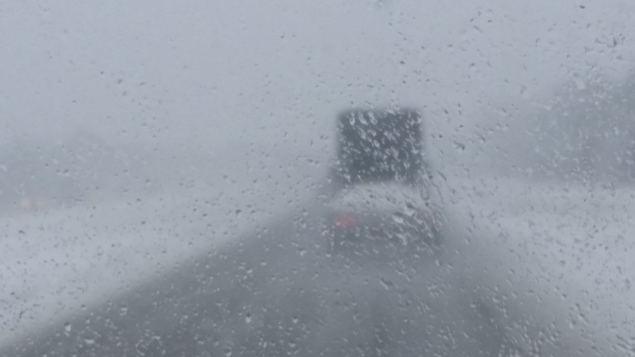 20161204_124121.jpg