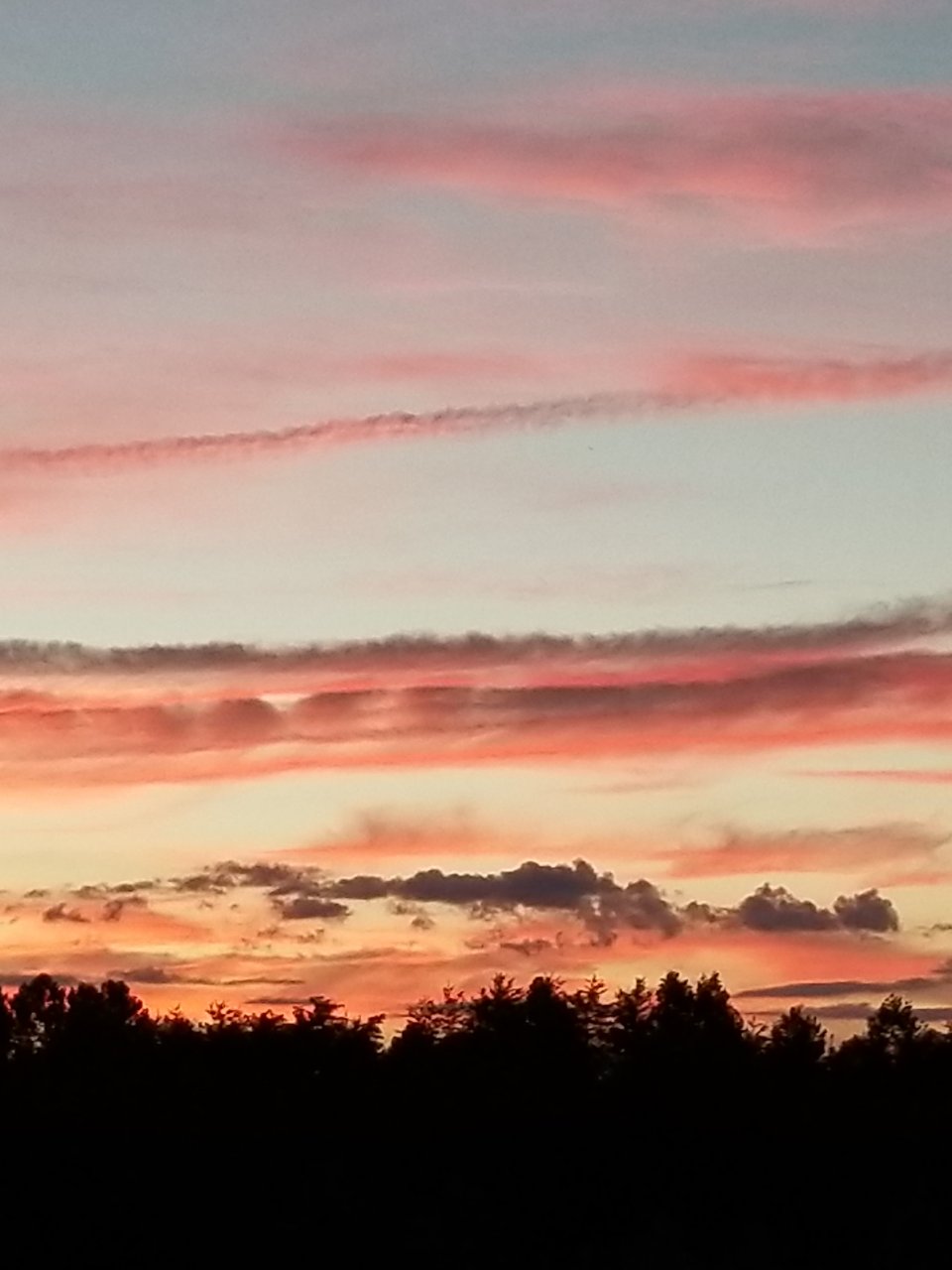 20170624_211552.jpg