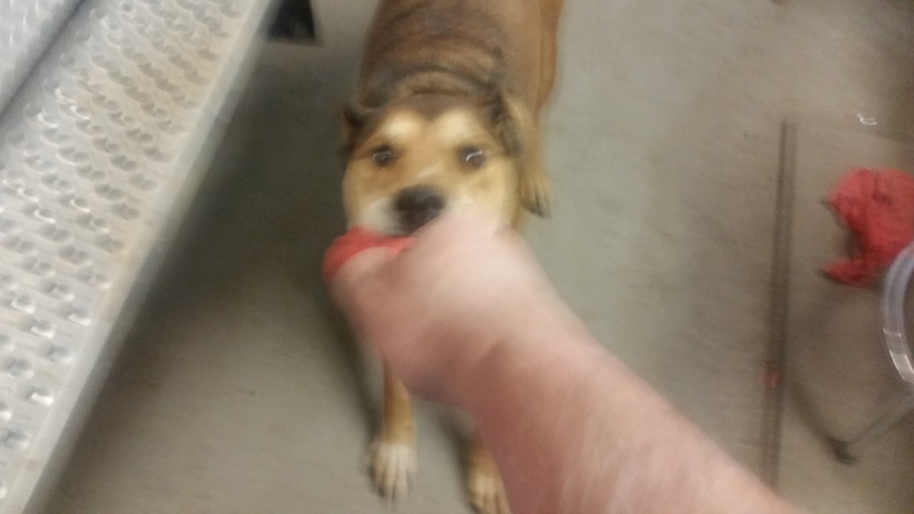 20171210_145021.jpg