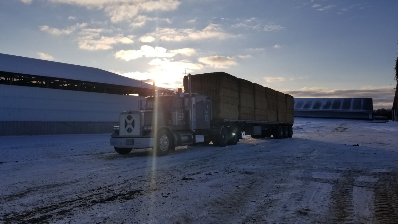 20180124_160756.jpg