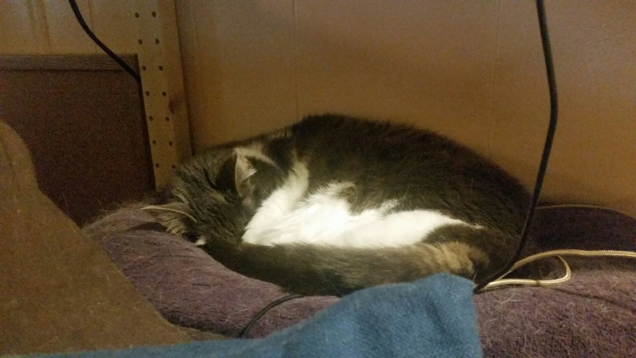 20180408_104927.jpeg