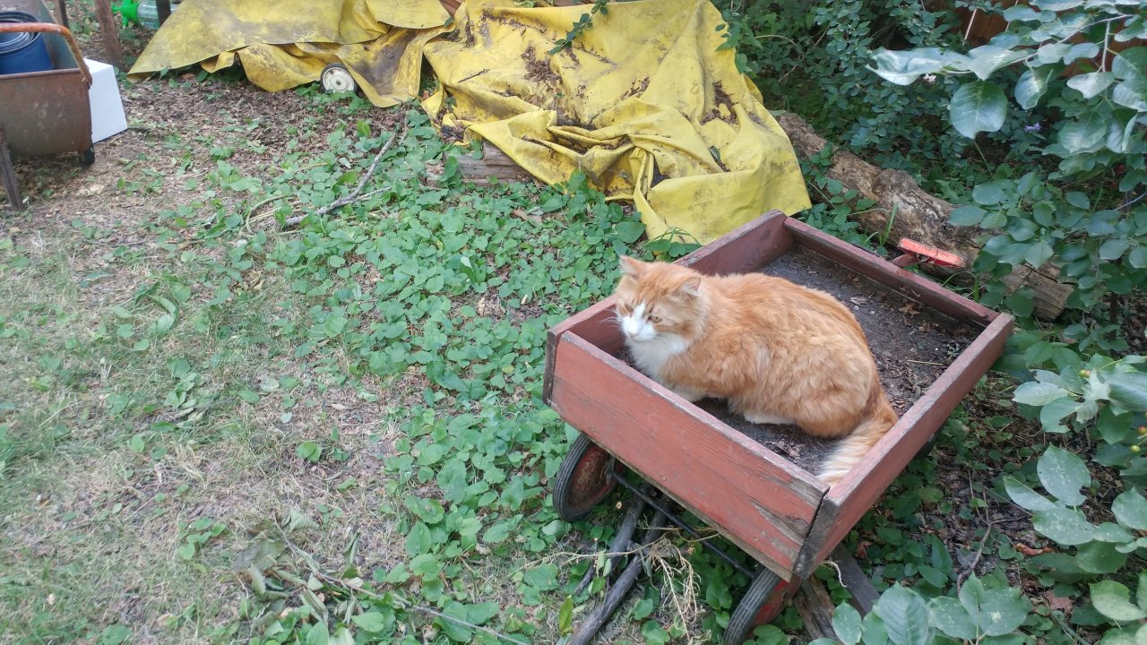 20180725_162337_HDR.jpg