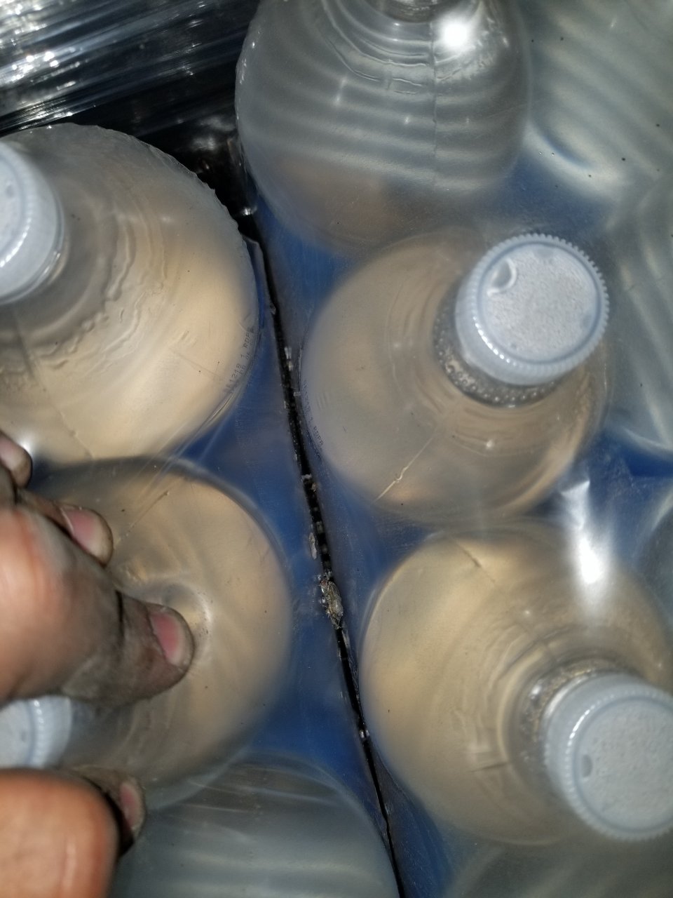 20180814_112101.jpg