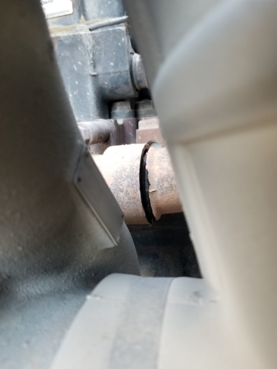 20180820_192251.jpg