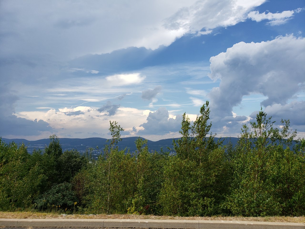 20180906_132912.jpg