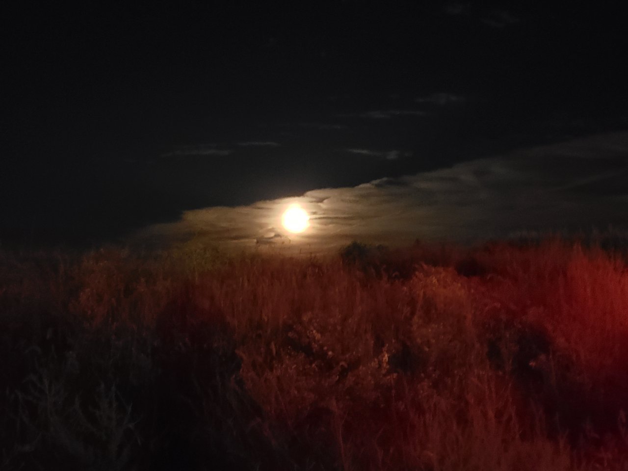 20180925_202419.jpg