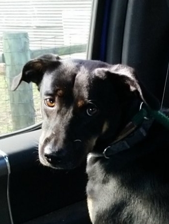20181002_142434.jpg