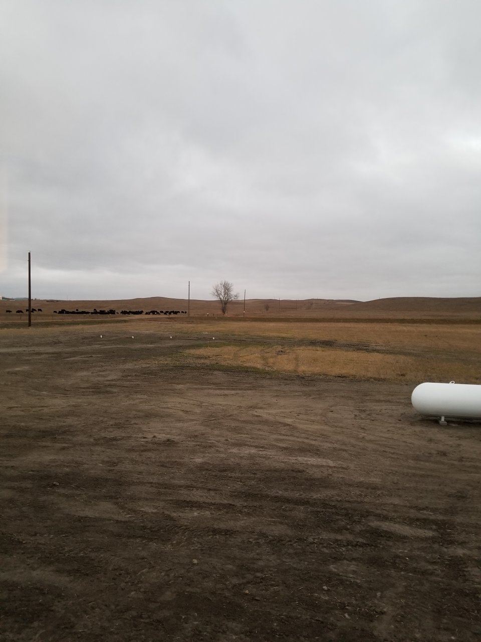 20181106_072053.jpg