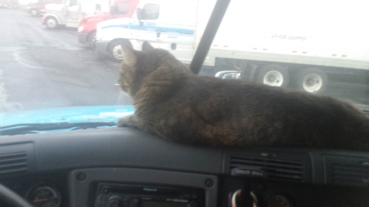 20181229_075219.jpg