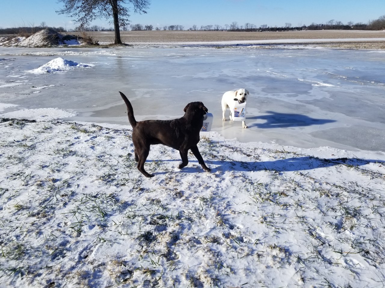 20190125_100704.jpg