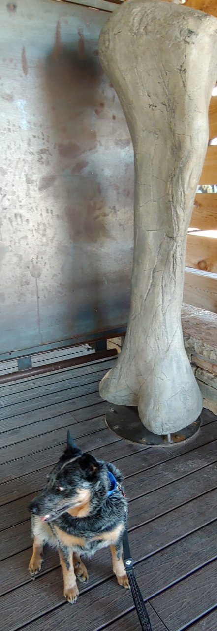 20190131_131904~2.jpg