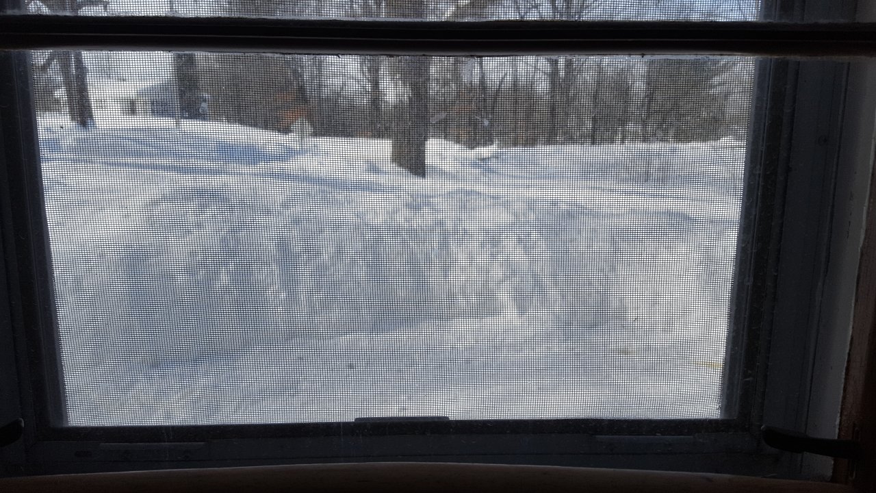 20190307_101651.jpg